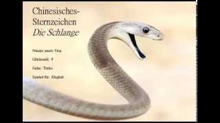 Chinesisches Sternzeichen die Schlange🐍 und ihre Eigenschaften Die Schlange wirkt sehr rätselhaft [upl. by Hammock]