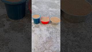 OMG Very Satisfying Sand Star Cutting Respect Drop youtubeshorts satisfying shorts [upl. by Darrelle]