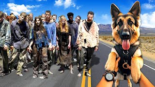 Rescuing a DOG from ZOMBIES Arizona Sunshine 2 [upl. by Affrica]