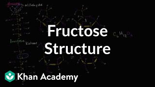 Molecular structure of fructose  Macromolecules  Biology  Khan Academy [upl. by Anglim707]