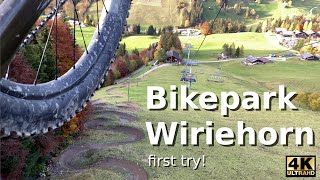 Bikepark Wiriehorn Downhill on the quotOld TBarquot und quotWery Hornyquot Trail [upl. by Meill286]