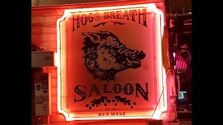 Hogs Breath Little Bar Cam [upl. by Longtin]