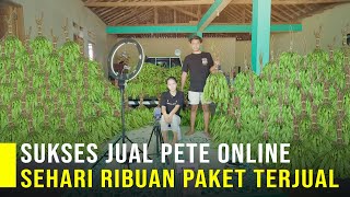 Pasangan Muda Sukses Jual Petai Online Ribuan Paket Terjual Tiap Hari [upl. by Yanrahs]