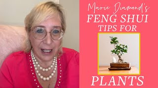 Marie Diamonds Feng Shui tips for Plants [upl. by Grefer]