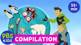 Wild Kratts  Arctic Creatures Compilation  PBS KIDS [upl. by Craven438]