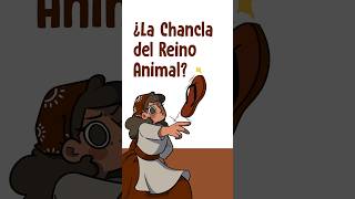 ¿La Chancla del Reino Animal [upl. by Farrison]