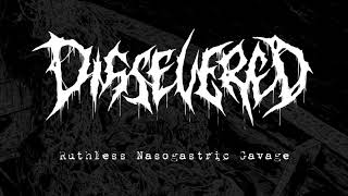 Dissevered  “Ruthless Nasogastric Gavage Scaphism 4way split 2017  New Standard Elite [upl. by Alysa]