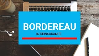 What is a Bordereau in Insurance amp Reinsurance  Bordereaux  Purpose  Contents [upl. by Alidis]