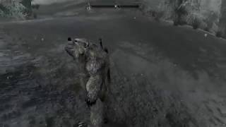 Skyrim Special Edition Werebear Man Glitch [upl. by Rofotsirk]