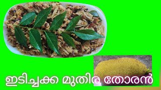 idichakka Thoran recipe in malayalam  easy recipe  spicy Dine [upl. by Lukasz]