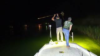 Dauphin Island Flounder Gigging 9 15 24 [upl. by Martinez]