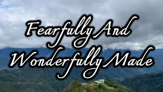 Fearfully And Wonderfully Made  Matt Redman [upl. by Irita]