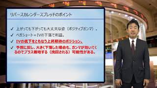 ＜その20＞限月が違うオプションを組み合わせることどうなるか② [upl. by Aer]