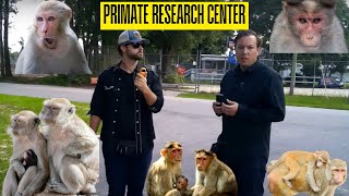 South Carolina Primate Research Center  Monkeys Have Escaped [upl. by Lemay]