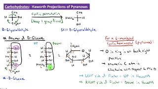 CHEM 2325 Module 36 Haworth Projections of Pyranoses [upl. by Ayidah142]