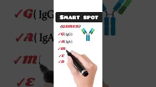 Immunoglobulin  antibodies easy way to learn [upl. by Ebert]