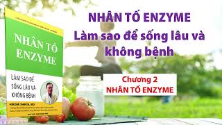 Chương 2 Nhân tố Enzyme [upl. by Sellers]