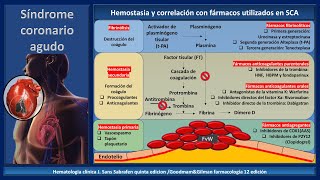 HEMOSTASIA EN 5 MINUTOS y fármacos fibrinolíticos anticoagulantes y antiagregantes [upl. by Hnaht]