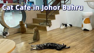 Malaysia Johor Bahru  Chucky Cat Cafe  Komtar JBCC [upl. by Bedwell195]