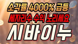 시바이누코인🔥 소각률 4000 개급등 세자리수 수익 노려라 제발 시바이누코인시바이누코인전망시바이누코인분석 [upl. by Dobb]