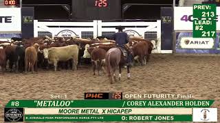 2024 NCHA AU 4CYTE OPEN FUTURITY CHAMPION COREY HOLDEN METALOO [upl. by Aroled]