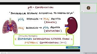 Acid Base Physiology [upl. by Hilton635]