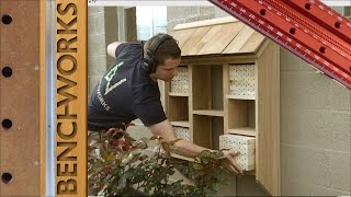 building an insect hotelshop sign p2 [upl. by Anawad767]