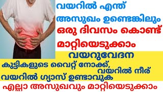 വയറിൽ എന്ത് അസുഖം ഉണ്ടെങ്കിലും മാറ്റിയെടുക്കാംvayaru vedana maranVayaru vedana maran ottamooli [upl. by Salta884]