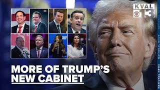 Presidentelect Trump picks more cabinet members [upl. by Kayla]