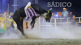 Lo envió al Hospital el Toro llamado SADICO RANCHO LOS DESTRUCTORES EN IGUALA GUERRERO 2023  Monta [upl. by Fita]