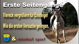 Reiten lernen  Seitengänge für Beginner  Eine Einleitung zur BasisHilfengebung [upl. by Tham]