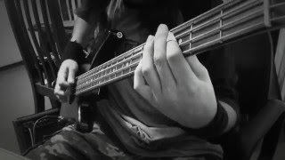 AcidezSin Control Bass Cover [upl. by Swithbert621]