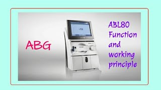 ABL80 Basic setup  How to use ABG machine  Features of ABL80 [upl. by Vanya]