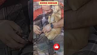 Kahkaha Tufanı Komik Köpek Anları 🐶🤣  En Eğlenceli Köpek Şakaları Shorts komik kediköpek [upl. by Clarisse]