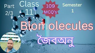 Biomolecules part 2 class 11 semester 1 Harunbiozone [upl. by Garvin]