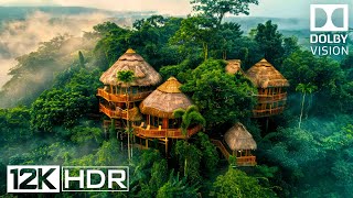 12K HDR 120FPS Dolby Vision The Most MindBlowing Footage Ever Shot 8K Earth [upl. by Eerehs]