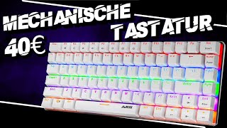 Was kann diese Mechanische Gaming Tastatur für 40€  Ajazz Ak33 Mechanische Gaming Tastatur Review [upl. by Dnalrah]