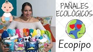 PAÑALES ECOLÓGICOS  PAÑALES DE TELA ECOPIPO [upl. by Aneerahs]