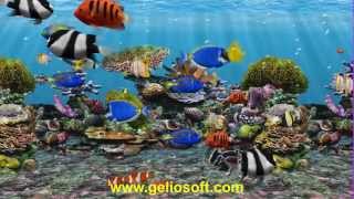 3D Fish School Screensaver Tropical Fish Swimming Free on Desktop Aquarium Windows 10 [upl. by Yroffej]