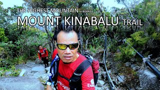 HIKING 030 Mount Kinabalu [upl. by Arammahs]