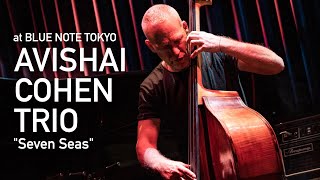 Avishai Cohen Trio  Seven Seas Live at Blue Note Tokyo  2023 [upl. by Lhadnek562]