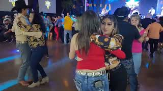 Domingo de Los mejores videos de Adictos al Baile [upl. by Araeit3]