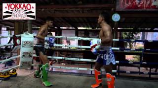 Sangmanee Sor Tienpo vs Saenchai Pk MuayThaiGym  yokkaoboxing [upl. by Thill]