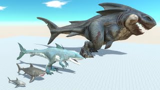 ARBS Dinosaurs Ultimate Megalodon of Evolution VS Dinosaurs and Animals  Animal Revolt Battle [upl. by Chatwin]