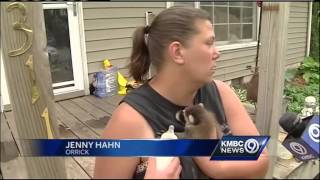 Woman takes care of baby raccoon found in Orrick debris [upl. by Ydrah]