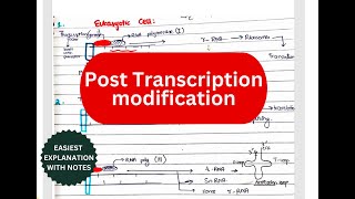 Posttranscriptional modification  Splicing Cap Tail Introns Exons RNA editing [upl. by Mozelle643]