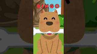 Bingo Song Baby First Nursery Rhyme 🐶shorts [upl. by Goldsworthy393]