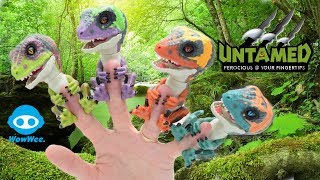 UNTAMED Raptors Fingerlings Full Set TOY HUNTUNBOXINGREVIEW [upl. by Essilem]