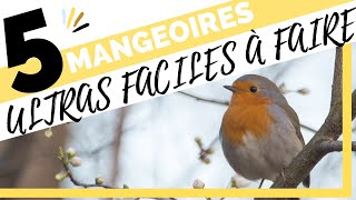 5 MANGEOIRES POUR OISEAUX FACILES À FAIRE [upl. by Aerised]