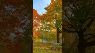 FALL IN MICHIGAN 🍂 michigan michigander usa youtubeshort youtubevideo youtuber viralvideo [upl. by Anyzratak576]